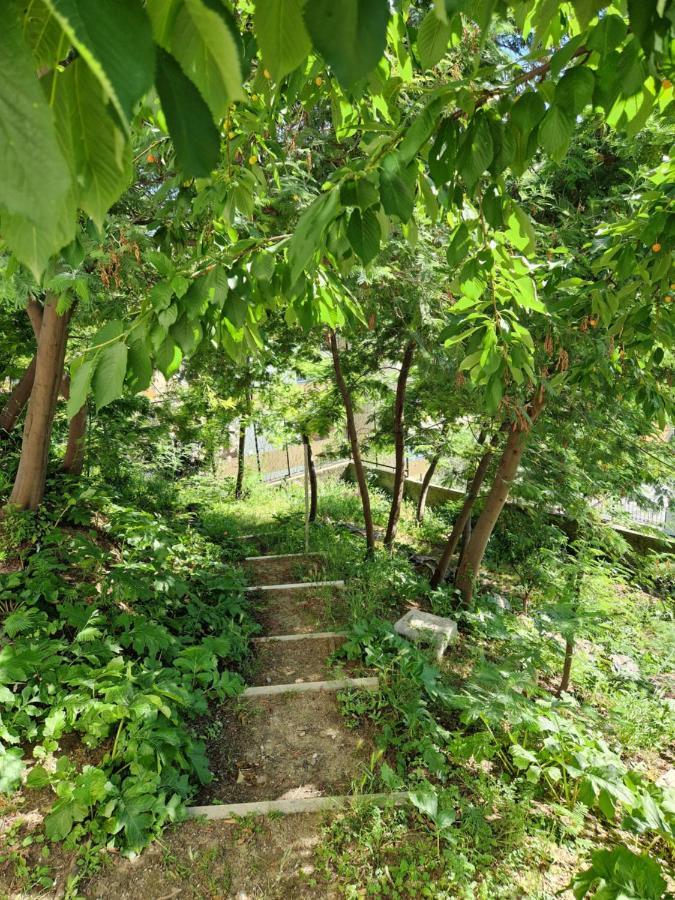 Garden & View Apartman La Spezia Kültér fotó